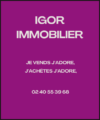 Logo Igor Immobilier